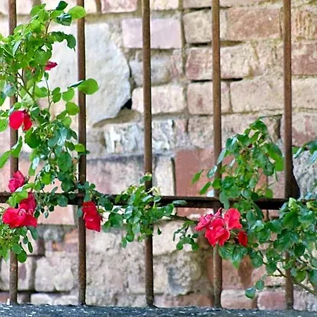 Sant'andrea Bed & Breakfast 4*